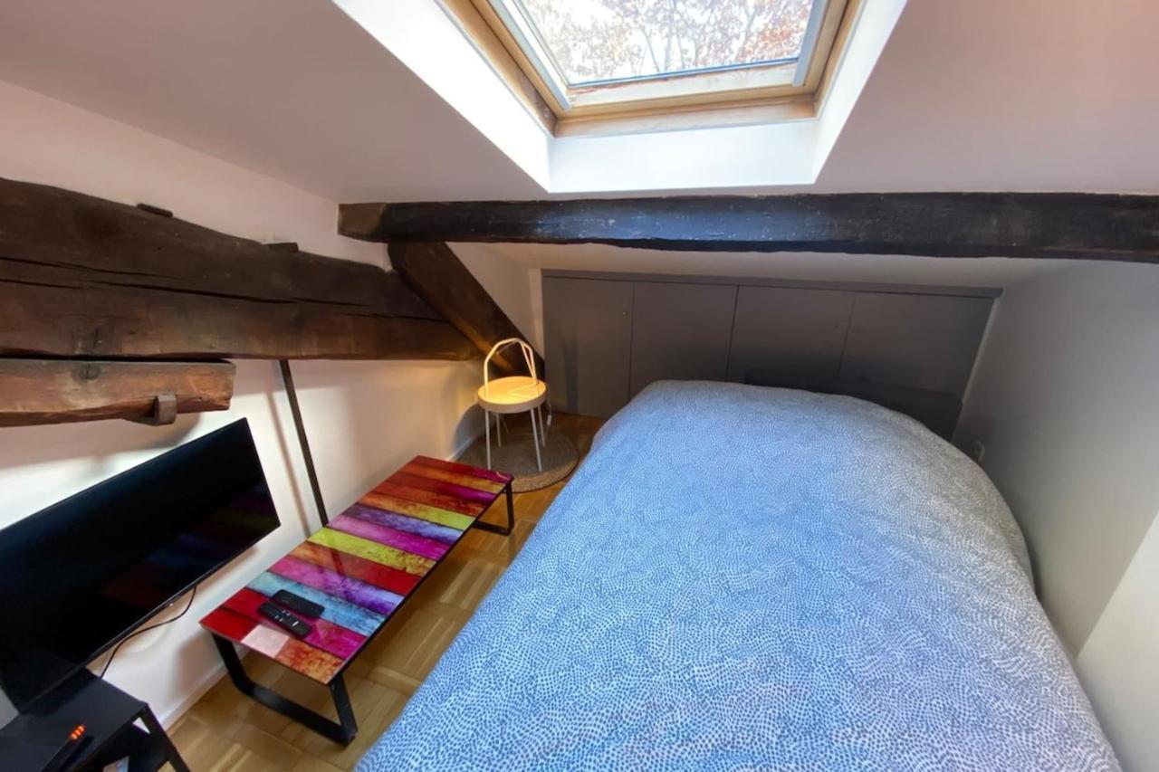 Le Petit Arloing-Studio Quais De Saone Vaise Lyon Kültér fotó
